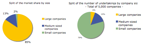 CEA European insurance market share by size and number of firms